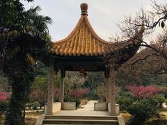-雨花胜境