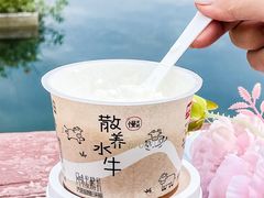 -天鹅湖体育公园