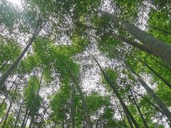 -同里国家湿地公园