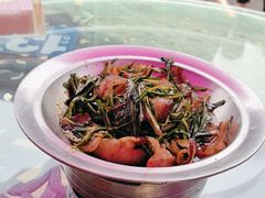 -夜不收荤豆花(大邑总店)