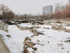 -大望京公园