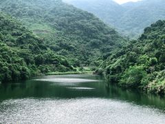 -梧桐山风景名胜区