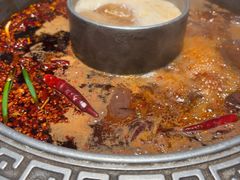 -杨肥肠火锅大排档(火车站花园店)
