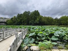 -范蠡湖公园