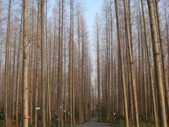 怡沁中路-上海怡沁园度假酒店