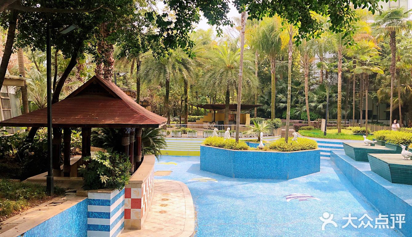 落地的杏花 妙龄的梨花