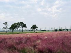 -汉长安城未央宫国家考古遗址公园