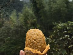 -井冈山风景名胜区