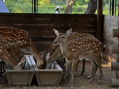 -南戴河国际娱乐中心