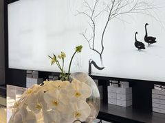 -BLACKSWAN黑天鹅(环球店)