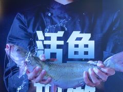 -老板恋上鱼(恒隆广场店)