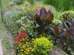 -共青国家森林公园-售票处