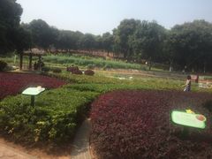 -天河儿童公园