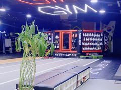-成杰格斗·拳击·柔术·防身术(建设路店)