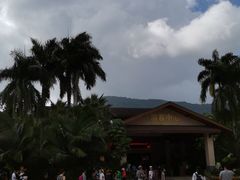 -呀诺达热带雨林