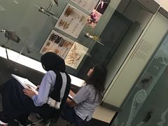 -奥克兰战争纪念博物馆