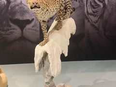 -国家自然博物馆