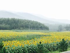 -塞罕坝国家级自然保护区