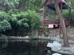 -原山国家森林公园