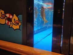 -一品渝香·好吖好鸭时尚干锅鸭头(乐汇城店)