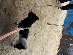 -DGE季风钓虾营地·团建·聚会