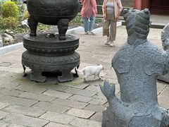 -灵谷景区