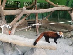 -杭州野生动物世界