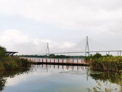 -芒洲湿地公园