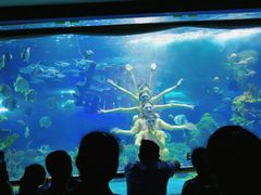 -大明湖海底世界