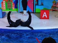 -成都浩海立方海洋公园