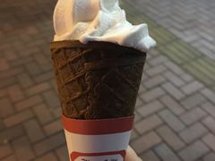 -富豪雪糕车流动点(尖沙咀店)