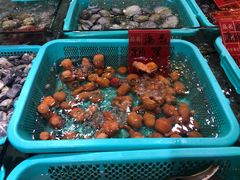 -渔傅·蓝海岸霞浦海鲜(正祥店)