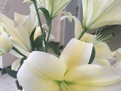 -至尊名仕·中泰按摩·养生SPA会所