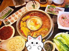 -一斗火锅·招财羊毛肚(泰吉滨江店)
