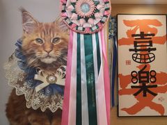-猫十亿·布偶金渐层·曼基康矮脚猫舍(青年路店)