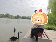 -河北省园博园