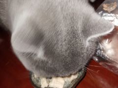 -瑞鹏宠物医院·爱宠堂·骨外专科(西荷分院)