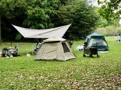 -上海共青森林公园