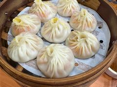 -莱莱小笼·乔艾