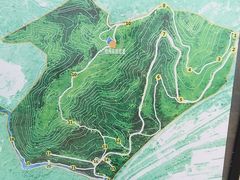 -白水寺森林公园
