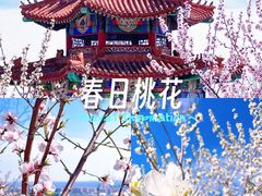 -白水寺森林公园