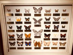 -上海昆虫博物馆