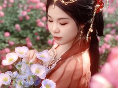 -西安青龙寺遗址景区