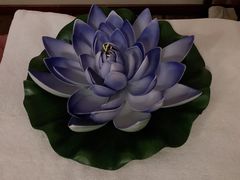 -智慧盲人按摩艾灸-颈肩腰膝疼痛调理(浦东店)