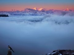-贡嘎雪山
