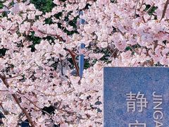 -静安雕塑公园