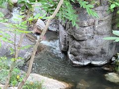 -灵溪风景区
