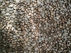 -sugarman espresso素饮糖人高新咖啡工厂