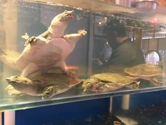 -小湘旺臭鳜鱼(百子湾店)
