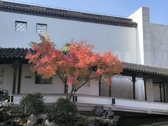 -秋霞圃